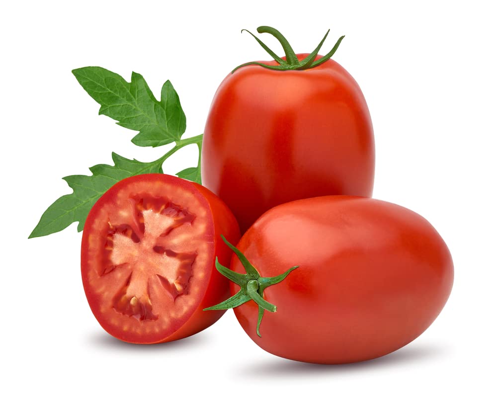 Tomato Plants, 'Plum Roma', 4 x Full Plug Plant Pack, Tomato Plants Ready to Plant Now, Tomatoes, Fresh and Sweet, Gardeners Favourite, Excellent Flavour, Garden Ready, Premium Quality Tomatoes