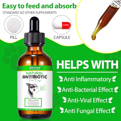 Natürliche Hunde-Antibiotika, Antibiotika-Tropfen für Hunde, Hunde-Antibiotikum Unterstützt das Immunsystem & Hunde-Allergie Relief, Hund Hefe-Infektion Behandlung, Juckreiz Linderung für Hunde, 60ml