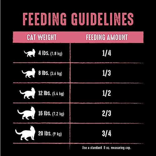 Crave Grain Free Indoor Adult High Protein Natural Dry Cat Food With Protein From Chicken & Salmon, 4 Lb. Bag #TOP4