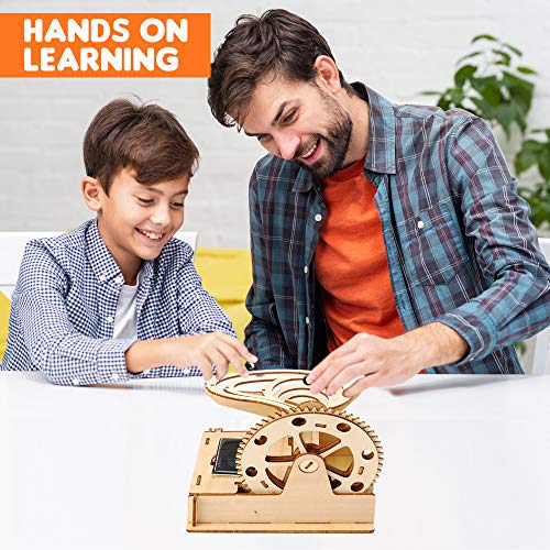 Wooden Marble Run & STEM Toys For Boys and Girls - 3D Puzzles for Adults & Kids, Engineering Projects for Kids - Model Kit Science Experiments Runs on Solar and Battery - Thumbnail 2