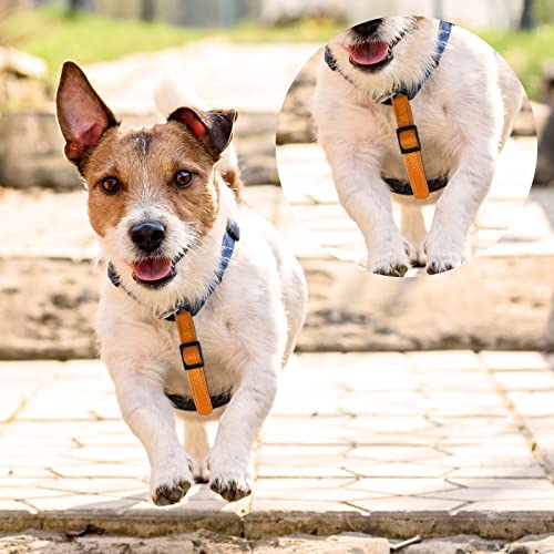 5 Pcs Safety Dog Collar Clips Prong Collar Backup Clips Adjustable Reflective Nylon Dog Collar Harness Connector Metal Double Ended Backup Clasp For Dog Harness Pet (Bright Color) #TOP1