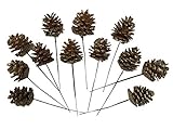 Natural Pinecones with Floral Pick - 2 Inch Pinecones with 5