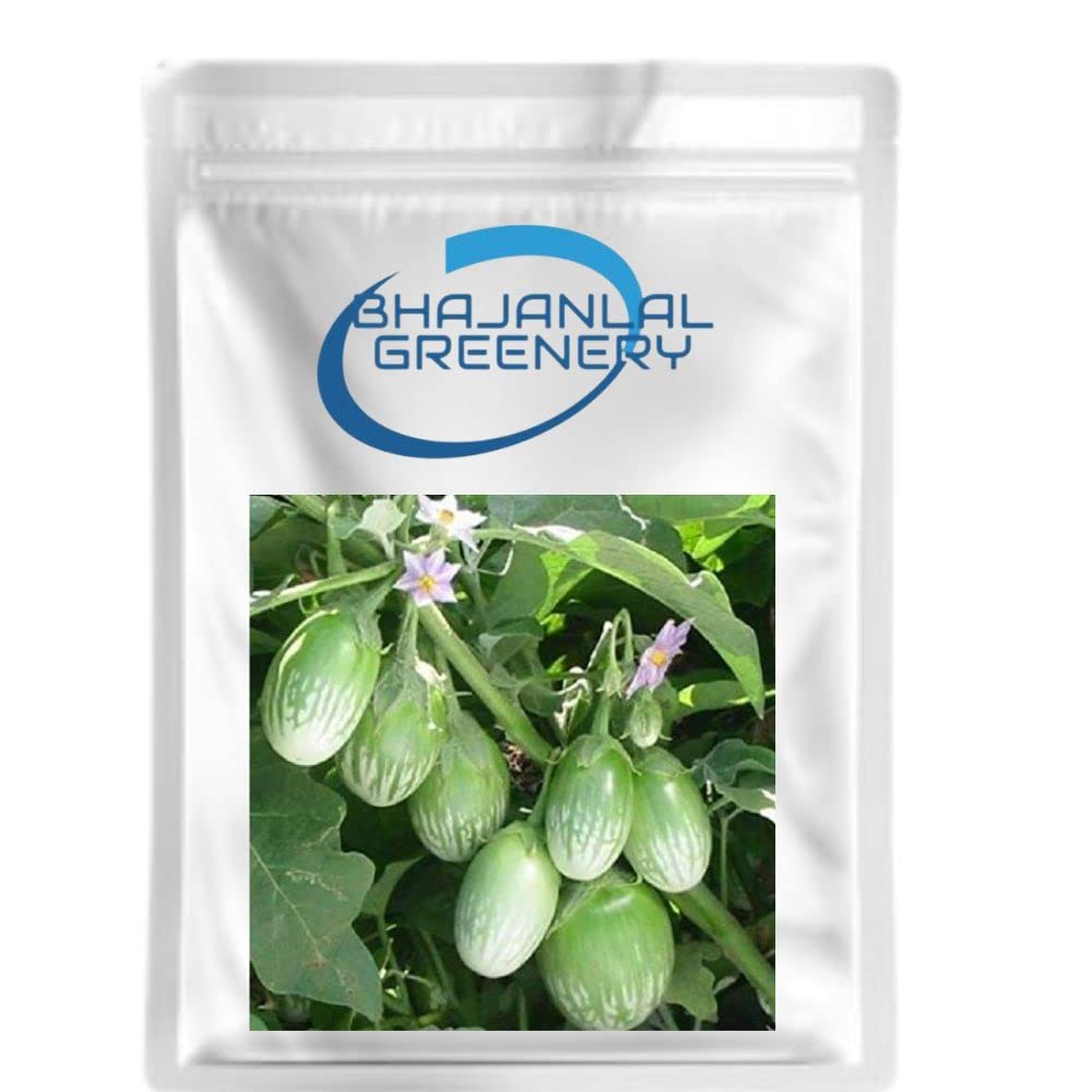 Bhajanlal Greenery Organic Vegetable Seeds for Home Pack 30 Seeds (Green Brinjal Seed) (B07TTDC7ZS) Amazon Price History, Amazon Price Tracker
