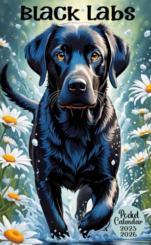 Black Labs Pocket Calendar 2025-2026: Small 2-Year Monthly Planner For Purse image 2