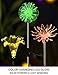 Bright Zeal Solar Stake Lights, Life-Size Figurines LED, Assorted/Multicolor, 3 Count