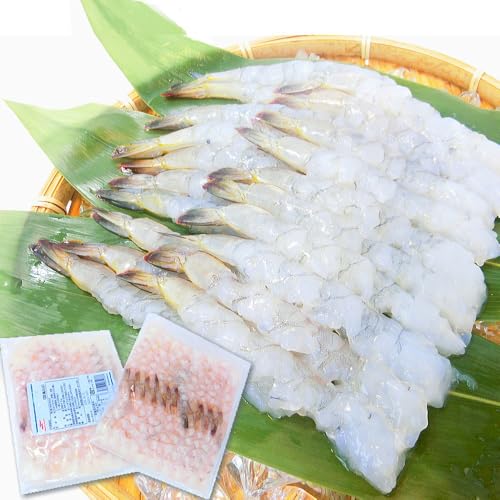 L΂CV 40 (20×Q) VՂp t CV Ȃh~ ς 21/25TCY oiCGrECV21/25yQozE