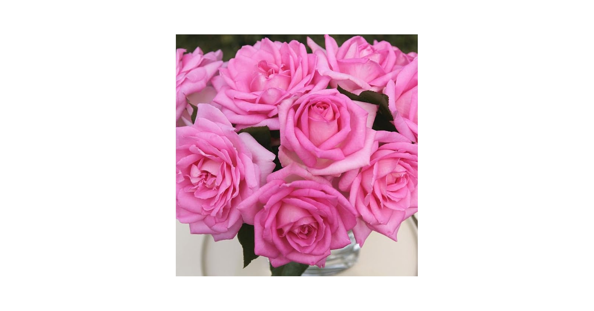 リーカ　PINK ROSE、MINT BLEND TEA リーカ PINK ROSE、MINT BLEND TEA - ジェルネイル・ネイルシール