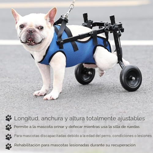 Carrito para perros de paseo: vuelve a disfrutar de las salidas diarias con tu mascota azul S 7
