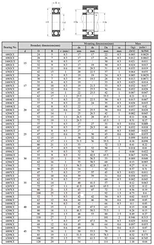 Roulement céramique Si3N4 6004 de qualité supérieure nitrure - 7