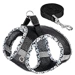 Dog Harness and Leash Set,Step-in Air Dog Vest, Reflective, No Pull Collarsfor Small, Medium Dogs, Cats - Secure with Hook & Loop Fastener, Buckle, Double D-Ring