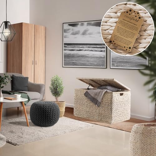 Image of Casafield 30 inch Storage Chest with Lid, Handles, and Safety Hinge - Whitewash White, Hyacinth Wicker Storage Trunk for Entry Way, Living Room, Bedroom