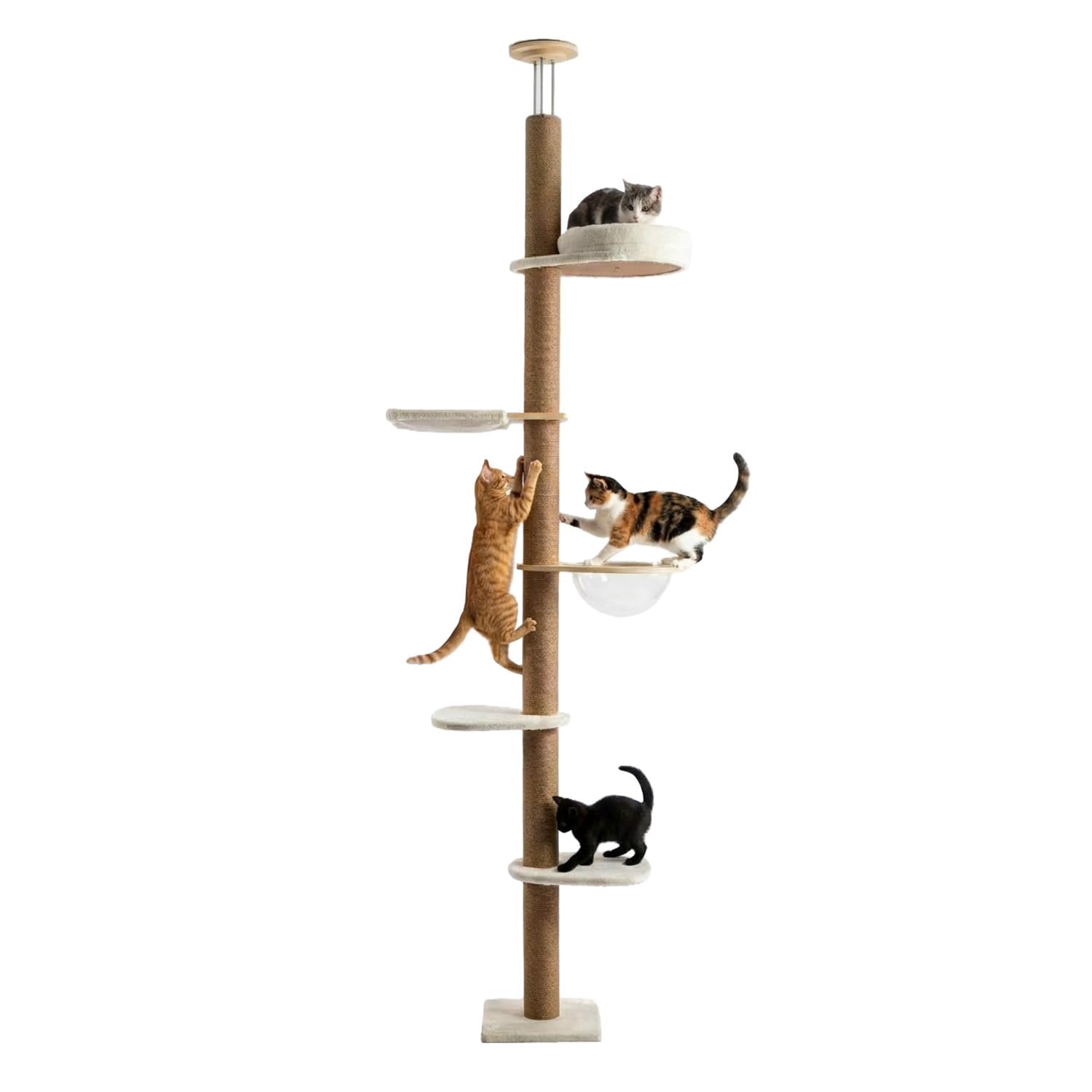 Avilia - Arbre à chat au plafond réglable 260-300 cm – Tour verticale gain de place pour chats avec hamac en dôme et niche – Arbre à chat en bois et jute naturelle – Design colonne