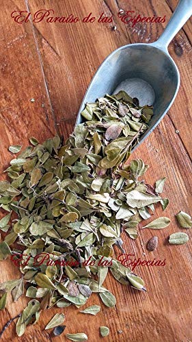 Gayuba Hojas Extra 1000 grs - Gayuba Planta Natural 100 % 1 Kg