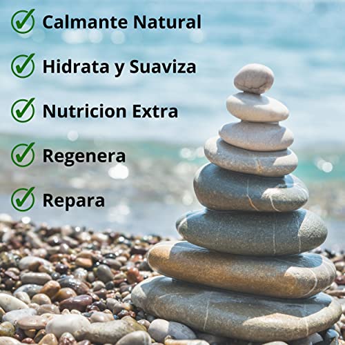 2 x Lippenbalsam-Sticks mit Aloe Vera, feuchtigkeitsspendend und regenerierend für die ganze Familie. Lipgloss, schützt vor Kälte und repariert die Lippen. Feuchtigkeitsspendender Kakao für trockene