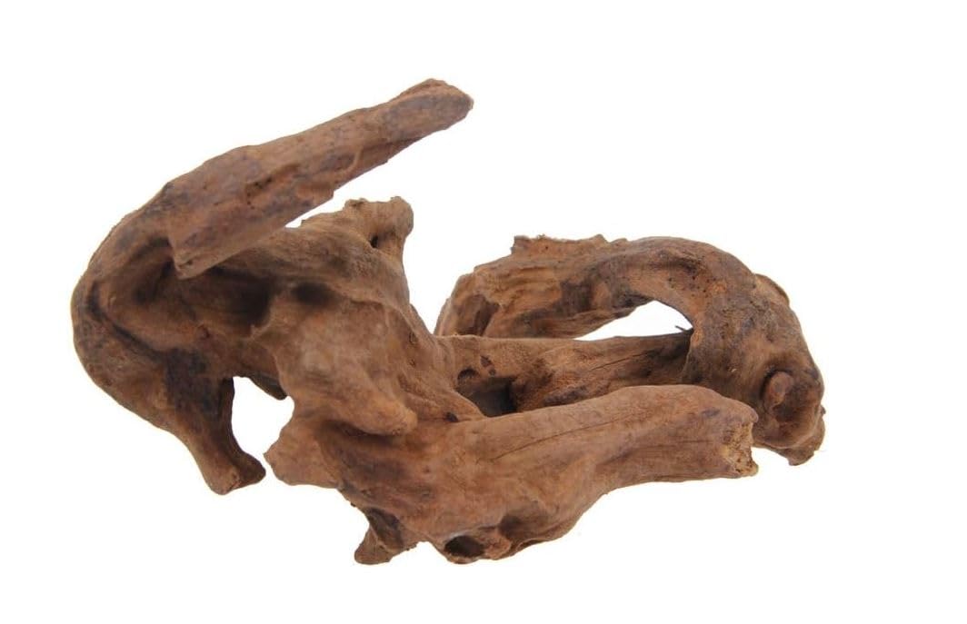 Bois flotté pour aquarium racine de tourbière XL décor naturel avec mousse