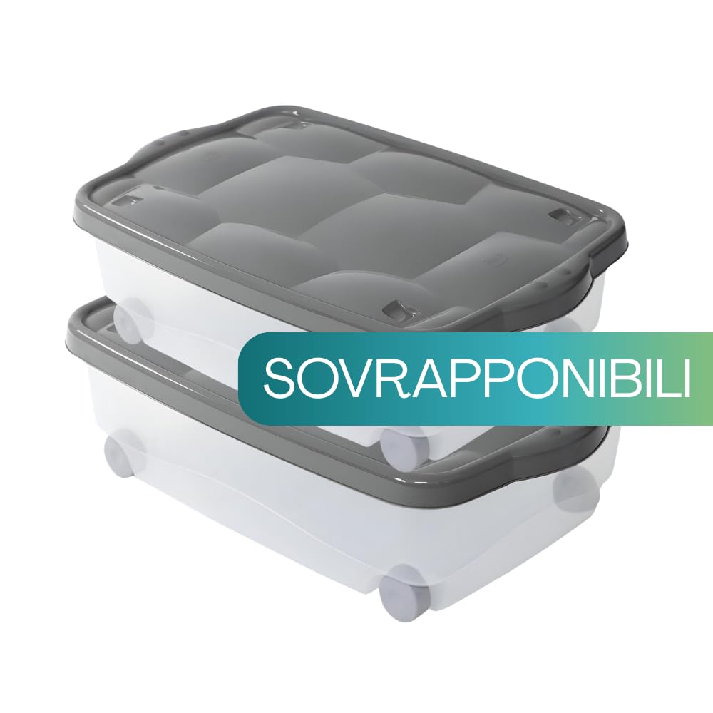 PALUPLUS 3 Contenitori Multiuso Basso con Ruote e Coperchio ANTRACITE, misura 60x40x18,5 cm e Capacità 24 Lt, Porta biancheria Trasparente, Organizer box salvaspazio per Scarpe, Vestiti - 633F -3,95