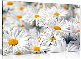 Daisys Daisy Canvas Wall Art Picture Print (36x24in)