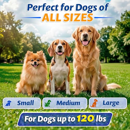 16.4 ft Retractable Dog Leash - Heavy Duty Tape Leash with Strong Nylon Tape - 360° Swivel Control - One-Click Brake & Lock - Ergonomic Non-Slip Grip for Small Medium & Large Dogs up to 120 lbs - Image 5