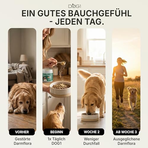 DOG1 Probiotika Pulver für Hunde – Made IN Germany - Unterstützt Darmflora & Verdauung - Probiotika Hund bei Durchfall - Präbiotika & Darmkur Pulver – Von Tierärzten entwickelt - 100g