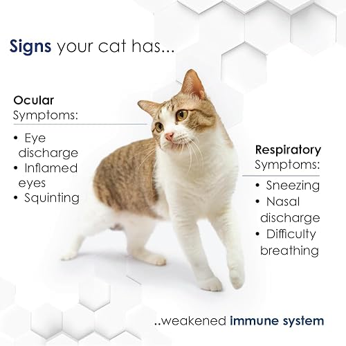 Miniatura 6 de Felisyl - Gránulos de apoyo para el sistema inmunológico (L-lisina) para gatos 3.5 oz (100 g)