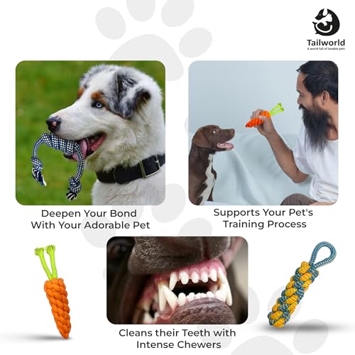 Tailworld Pet Chew Toys, Multicolor, Pack of 5 - Image 5