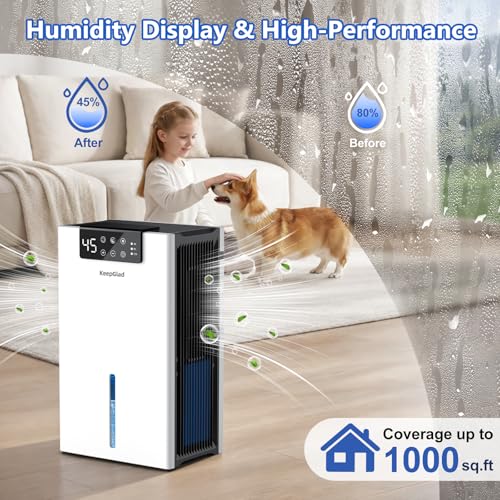 Dehumidifier for Large Basement with Drain