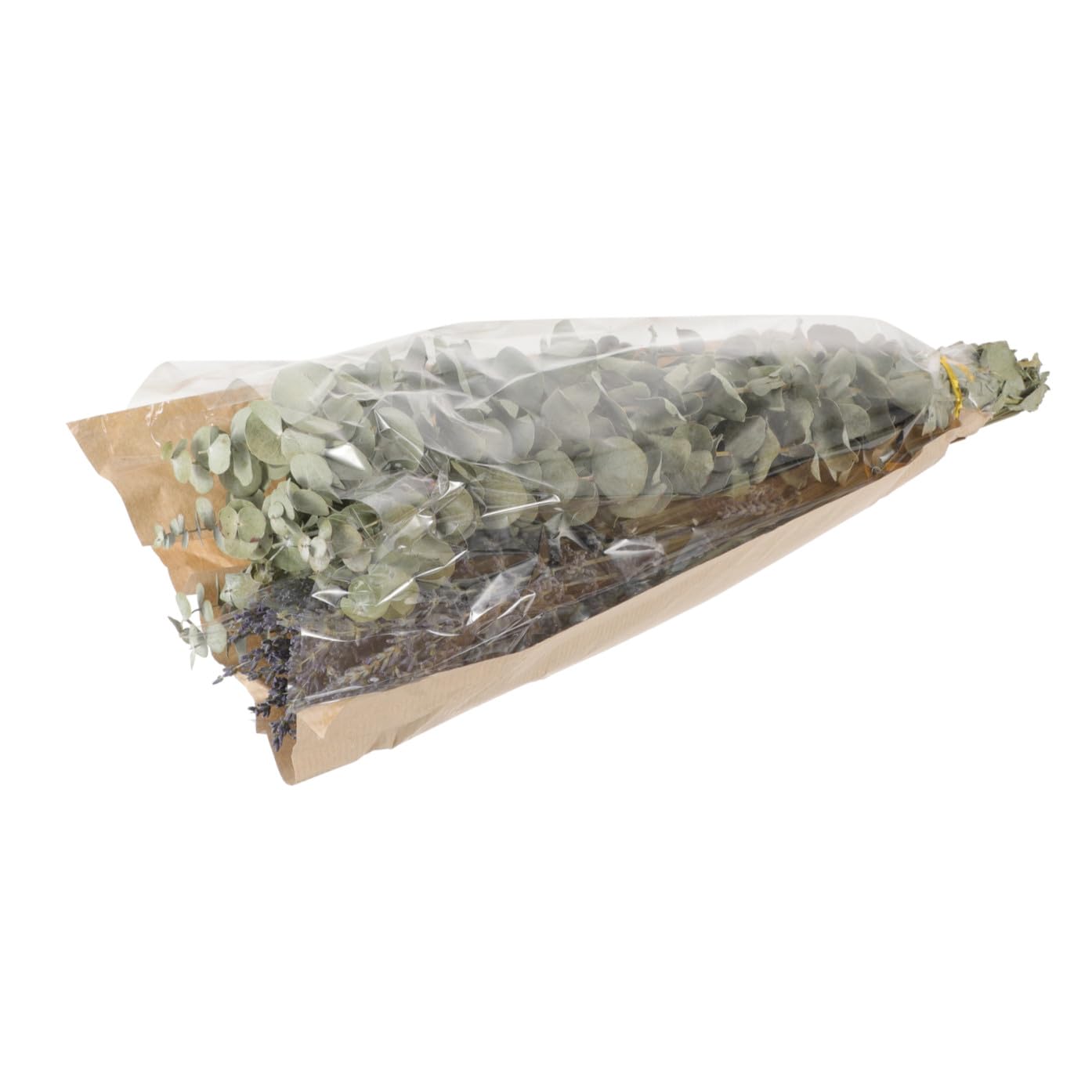 Alipis 2 Pièces 1 Bouquet de Bouquet de Lavande séchée Feuilles pour la bouda Decoration Interieure décoration intérieure Eucalyptus séché décor Floral