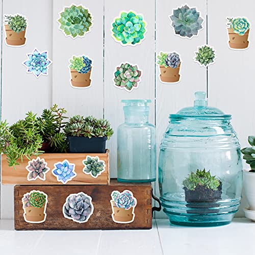 72 Pieces Succulents Classroom Decor Succulents Cutouts 12 Styles Watercolor Succulents Bulletin Board Decorations Potted Accents Decor Succulent Paper Cut Outs With 120 Pieces Glue Point Dots #TOP5