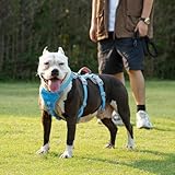 Huntboo Sicherheitsgeschirr Hund Ausbruchsicher, Hunde Geschirr mit Gepolstertem Griff, Reflektierendes, Wasserdicht, Verstellbare Weste für Mittelgroße Hunde, die Spazieren Gehen (Blau, L)