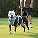 Huntboo Sicherheitsgeschirr Hund Ausbruchsicher, Hunde Geschirr mit Gepolstertem Griff, Reflektierendes, Wasserdicht, Verstellbare Weste für Mittelgroße Hunde, die Spazieren Gehen (Blau, L)