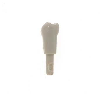 32Pcs Dental Tooth Model fit for KaVo Basic Model Teeth Retention Mechanism M-Kset-32