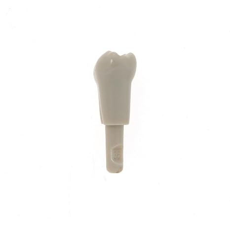 32Pcs Dental Tooth Model fit for KaVo Basic Model Teeth Retention Mechanism M-Kset-32