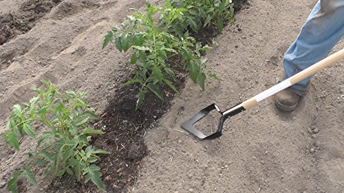 Hoss Tools Push Pull Hoe miniatura 3