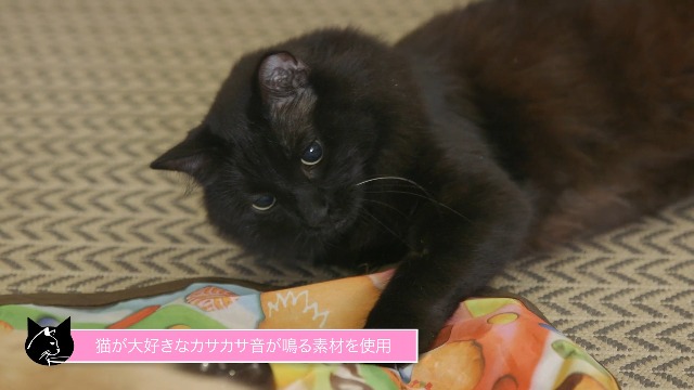 Amazon | 猫壱（necoichi） キャッチ・ミー・イフ・ユー・キャン2