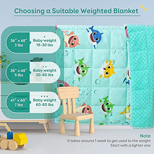 Image of Sivio Minky Dotted Weighted Blanket, Super Soft Crystal Velvet Reversible Heavy Blanket with Cute Cartoon Patterns, 3 lbs, 36x48 Inch, Green Shark