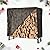 Danrelax 4ft Firewood Rack Outdoor with Cover, Wood Storage Rack for Fire log and Firewood, 600D Oxford Fabric Water-Resistant Cover, for Fireplace Indoor, Patio, Courtyard, Black