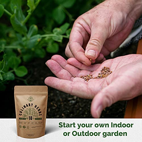 Most Popular 18 Culinary Herbs & 20 Vegetables Seeds Variety Packs In One Value Bundle Non-Gmo Heirloom Seeds For Planting Indoor And Outdoor. Over 6300 Seeds. #TOP6