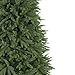 Balsam Hill 6.5ft Premium Unlit Artificial Christmas Tree Stratford Spruce with Storage Bag, and Fluffing Gloves