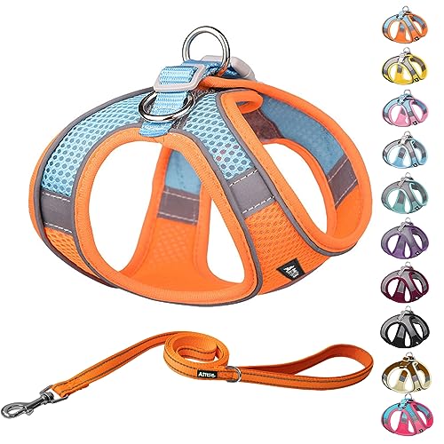 Best No Escape Dog Harness For Small Dogs 2023 Vet Ranch We Love Pets