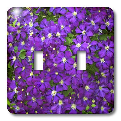 Interrupteur à bascule violet clematites lsp_55239_2 plaque de commutation decorative