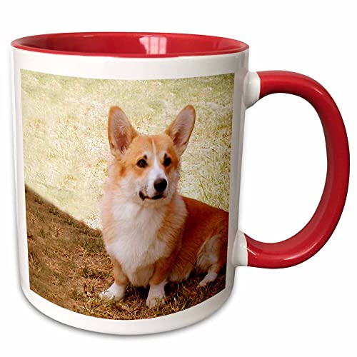 3dRose Dogs Corgi - Pembroke Welsh Corgi 15oz Two-Tone Red Mug