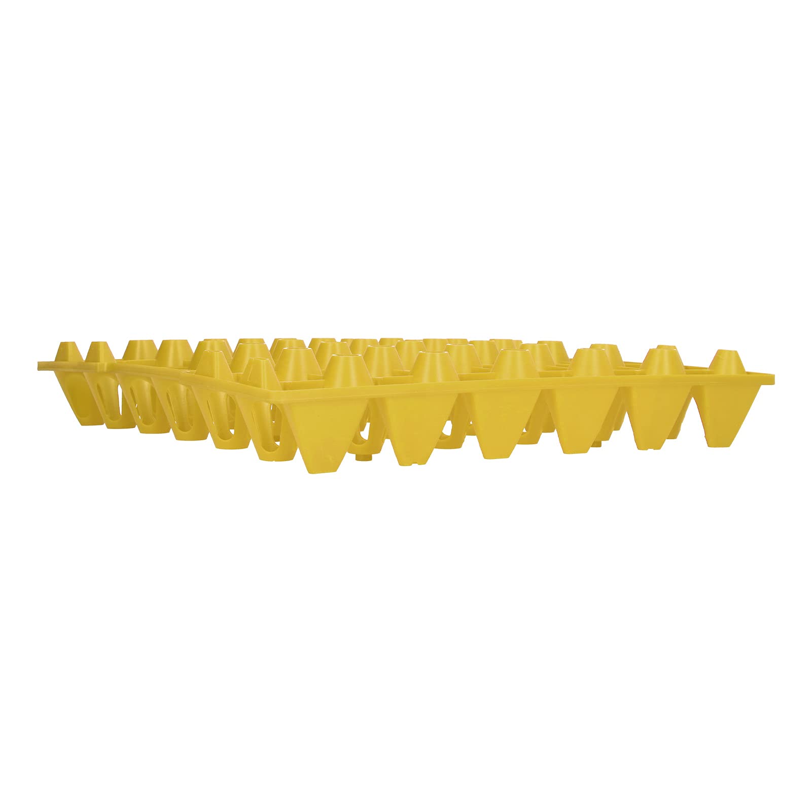 Bewinner Lot de 5 Plateaux à œufs en Plastique à 30 Cellules pour le Stockage et le Transport, Support à œufs Empilable et Réutilisable pour de Poule, Récipient à Extra Large pour Fournitures de