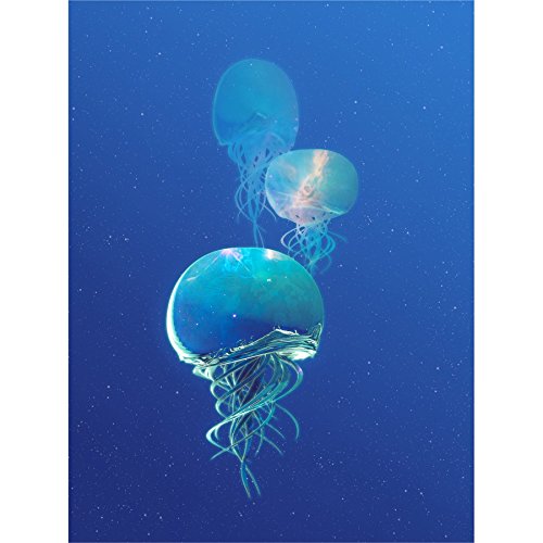 Wee Blue Coo Celestial Galaxy Stars Jellyfish Photograph Combined Blue Canvas Art Print