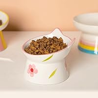Vista 3 de Ceramic Raised Cat Bowls, Anti Vomiting and Protect Pets' Spines for Indoor Cats Whisker Friendly Pet Feeder for Cats Puppies (Pink)