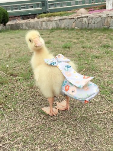 FORZENA Diapers for Duck Chicken Special for Poultry Goose Waterproof Adjustable Washable and Reusable Diaper Poultry Duck Supplies (L:0.25kg-0.35kg)