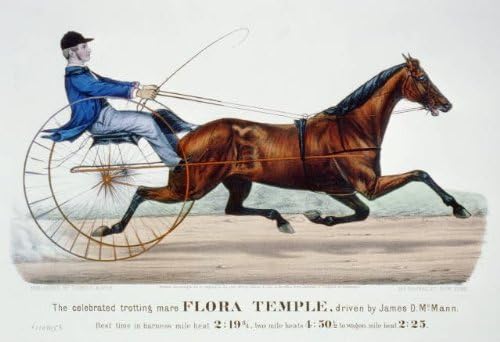 Photo Reprint The Celebrated trotting mare Flora Temple, driven by James D. McMann: Best time in harness mile heat