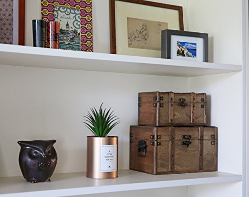 Natural Treasures Wooden Storage Boxes - Set Of 2: Vintage Decorative Wood Chests, Decorative Treasure Boxes, Sturdy Antique Storage Trunks, Memory Box For Keepsakes And Organizing #TOP6