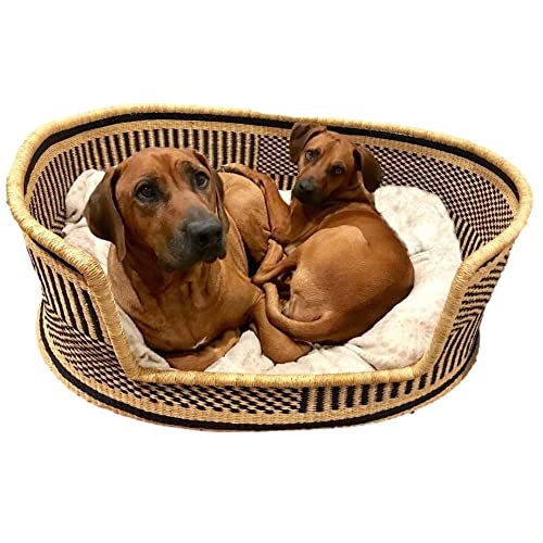 Personalized Dog BedWoven Dog Basket, Dog Bed Furniture