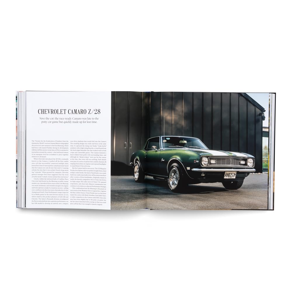 The Americans – Beautiful Machines: The Most Iconic US Cars and their Era (Beautiful Machines: The Most Iconic Cars, Band 3)