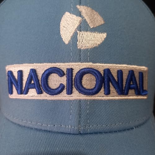 Boné Ayrton Senna NACIONAL azul claro